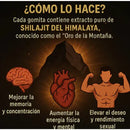 [MEGA PROMOCION] GOMAS SHILAJIT